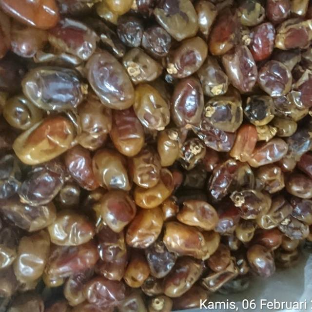 

Kurma khalas