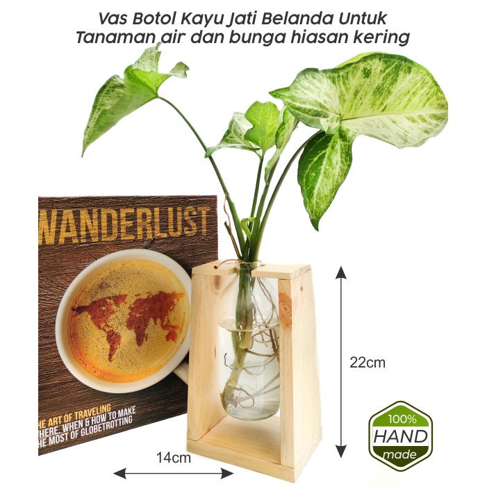 vas botol tanaman air kayu jati belanda