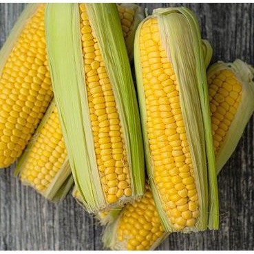 

Jagung 500gram