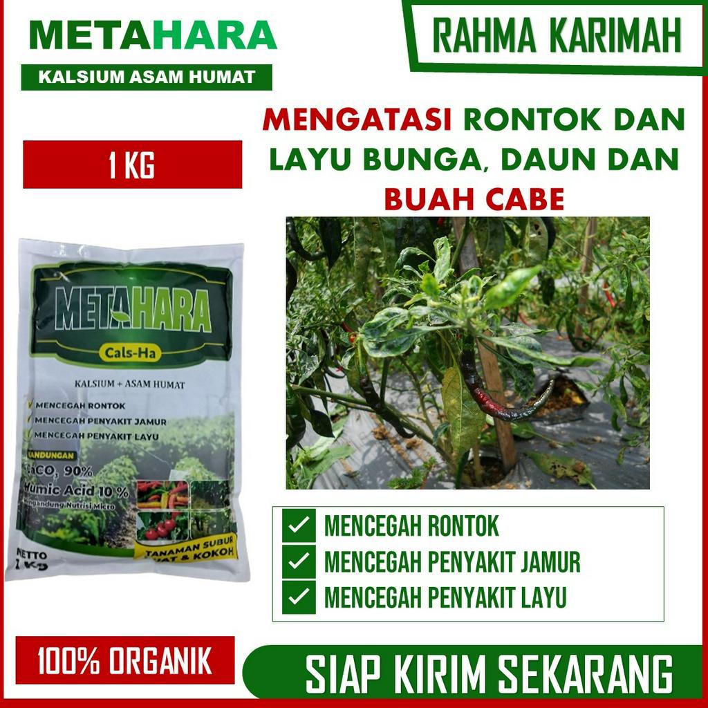 METAHARA 1 KG Obat pencegah rontok dan layu cabai - Pupuk Kalsium Terbaik Cabai Sehat dan Kuat atasi