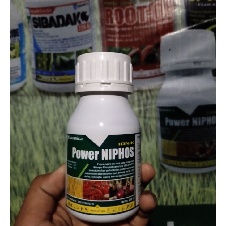 Power Niphos nutrisi fase Vegetatif EXP 01 01 2025