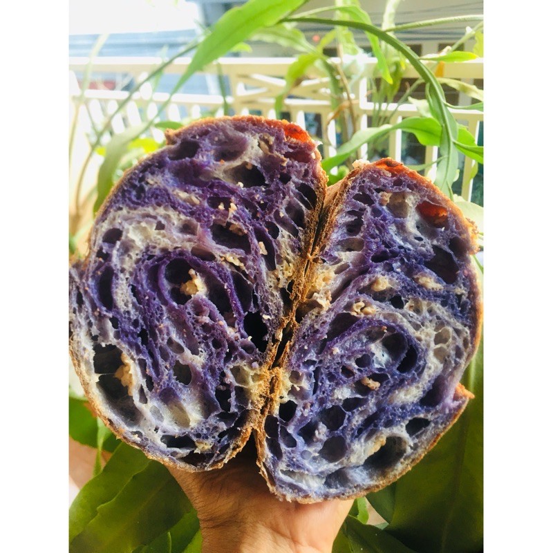 

Sourdough Butterfly Pea Flower Swirl & Toasted Oat Porridge