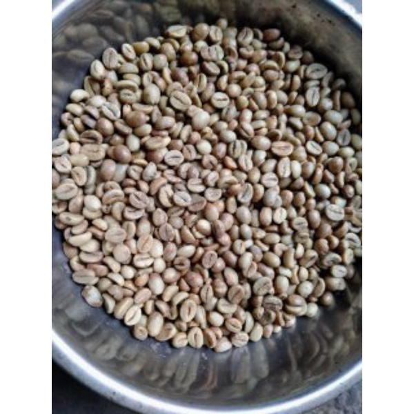 

Robusta