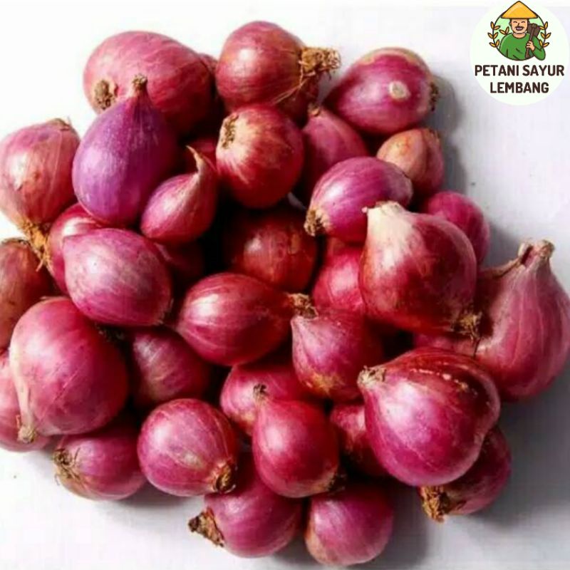 

Bawang merah brebes fresh segar 500gr