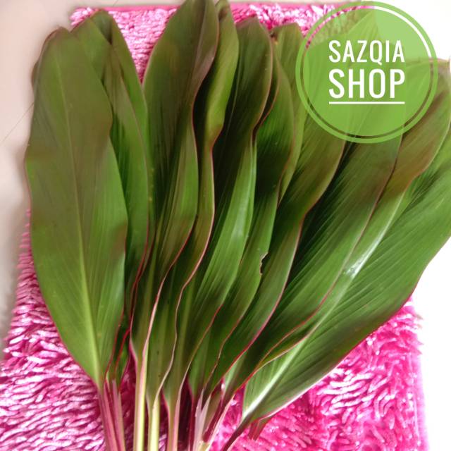 HANJUANG DAUN HANJUANG PEMBUNGKUS MAKANAN