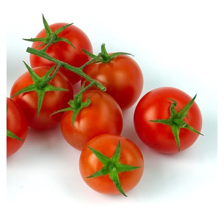 

sayuran tomat cerri segar & fresh / 100gr di warunk juni