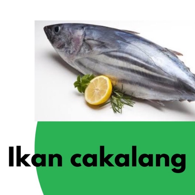 

ikan cakalang segar /kg