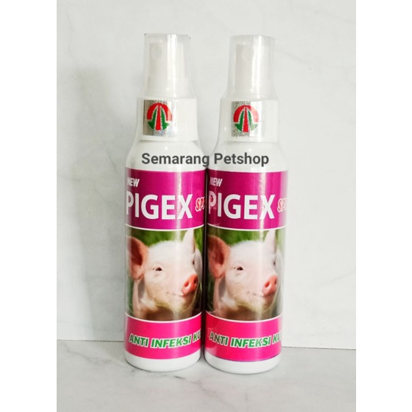 Obat Infeksi Kulit Babi Obat Scabies Babi Obat Koreng Babi Obat Eksim Babi Obat Gudig Babi Obat Babi