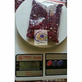 100gr Pupuk Viral osmocote merah. Aglonema, alocasia, anggrek, keladi, philodendron, anthurium