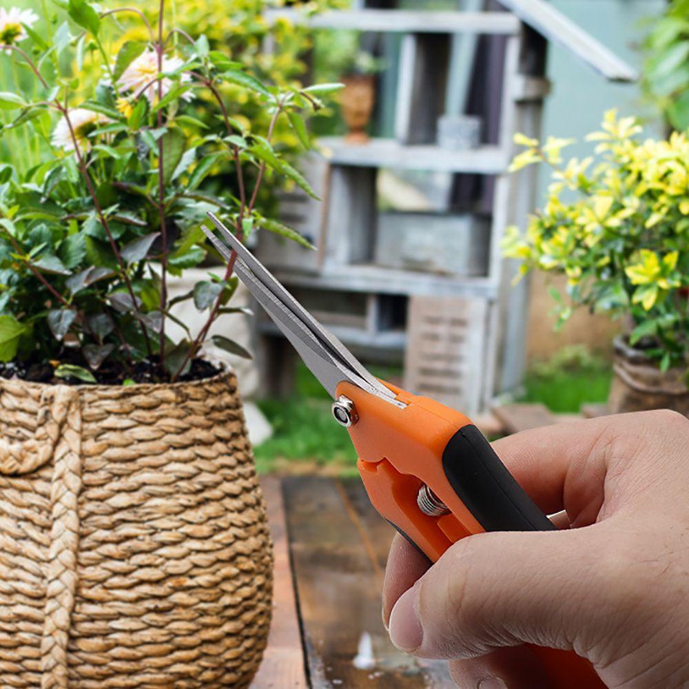 Rebuy Pruning Shears Hemat Tenaga Kerja Dengan Kunci Aman Stainless Steel PP Handle Tajam Kepala Lurus Perlengkapan Taman