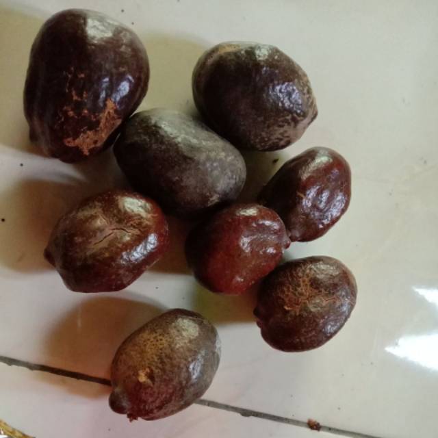 

BUAH ZURIAT MADINAH