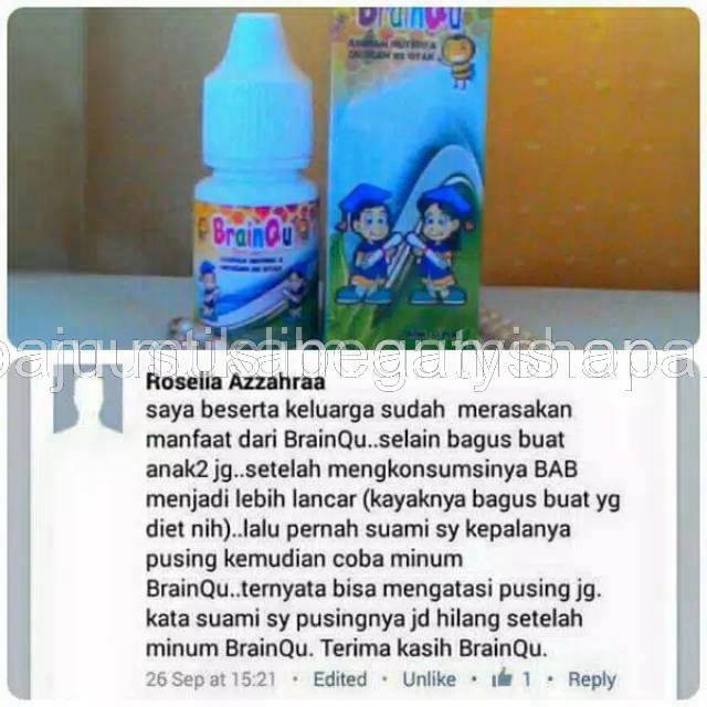 BRAINQU Nutrisi Otak Anak Madu Anak Pintar Madu Pintar