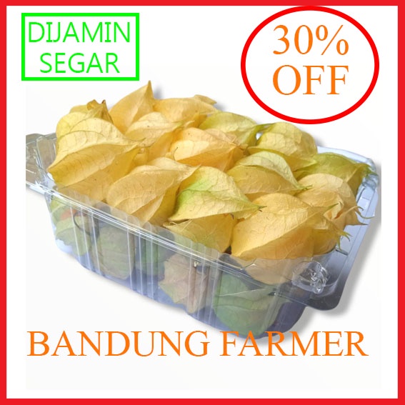 

Buah Ciplukan PROMO DISKON!!!