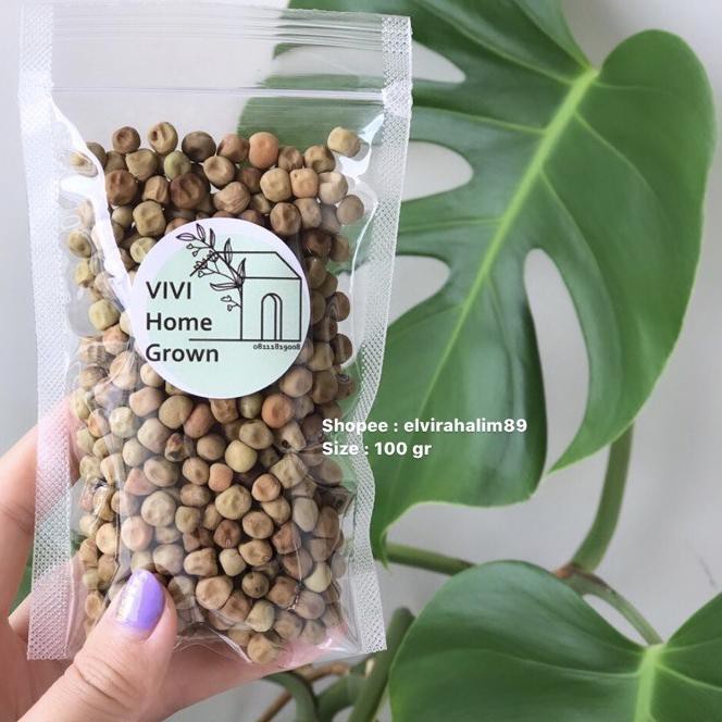 

Terlaku Benih Biji Kacang Kapri 100gr Snow Peas Tomiau PeaShoots Pea Shoots Taomiao Microgreen ORD;