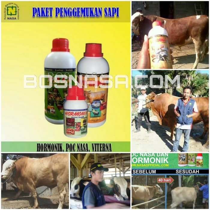 Vitamin PENGGEMUKAN SAPI ( Viterna, Hormonik, POC Nasa ) Terlaris