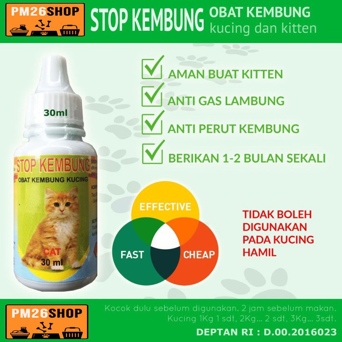 Obat Kembung Kucing