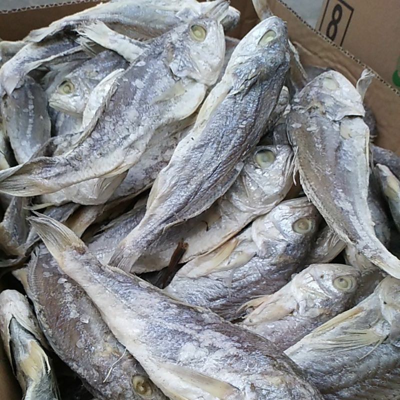 

Ikan asin kepala batu sibolga 250g