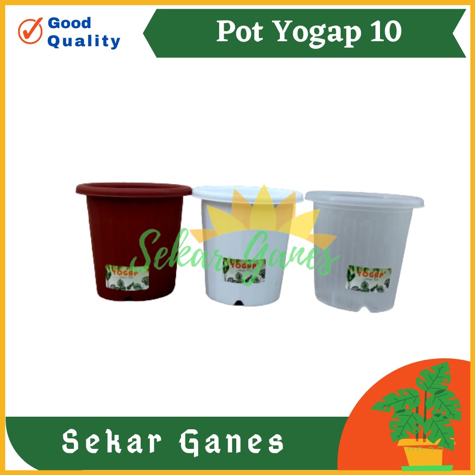 LUSINAN Pot Yogap 10 Putih Transparan Bening Merah Bata Isi 12 pcs Pot Yogap 10 13 15 17 18 19 Pot Yogap Bening LUSINAN POT YOGAP MURAH