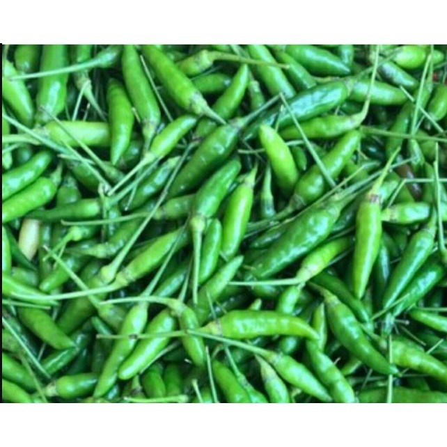 Cabe Cabai Lado Rawit Kathur Hijau Kecil Pedas