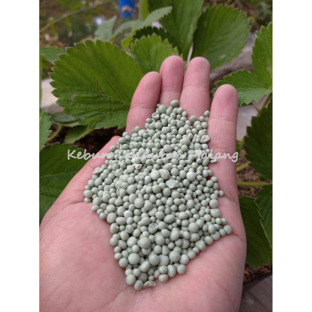 Pupuk NPK GROWER 15-09-20