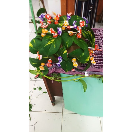 

BUKET PERMEN NATURE