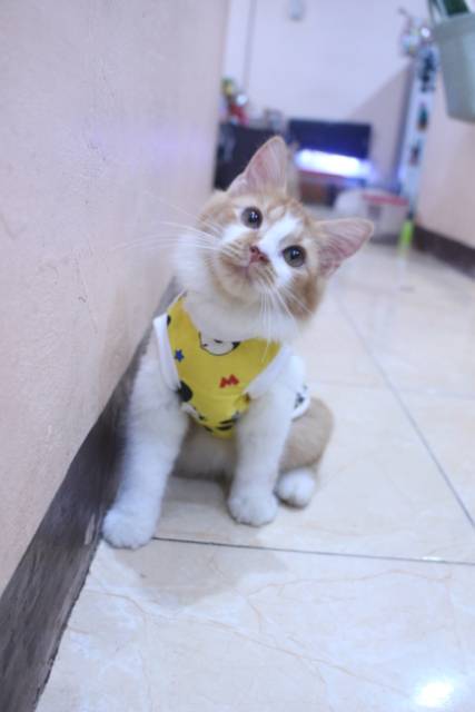 Baju rumahan simple untuk kucing dan anjing motif mickey mouse / baju kucing murah size S M L XL