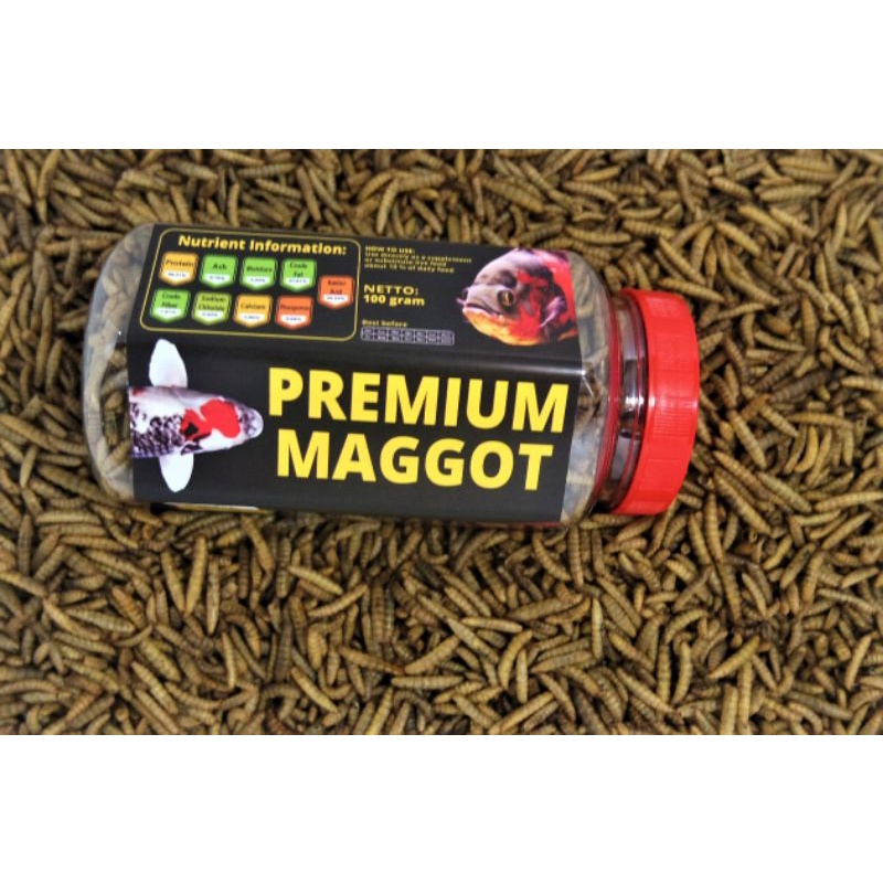 Premium Maggot BSF (Suplemen Pakan Alami Ikan Hias, Predator, Koi, Arwana, Channa, Louhan, Oscar)