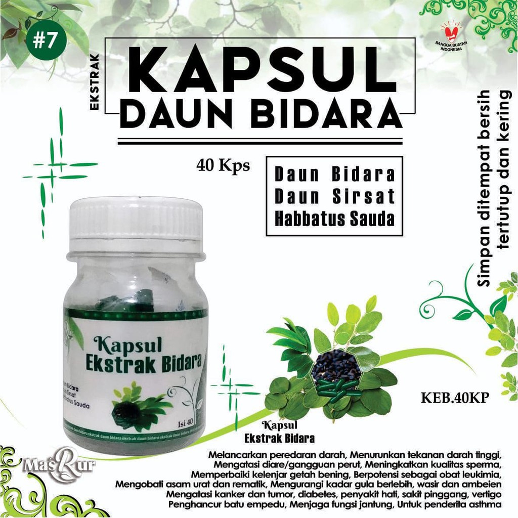 

kapsul ekstrak daun bidara #7