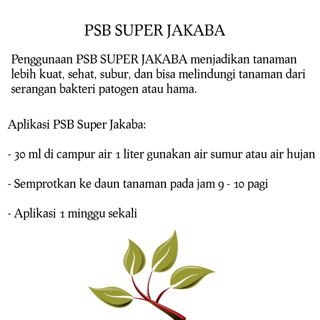 PSB SUPER JAKABA
