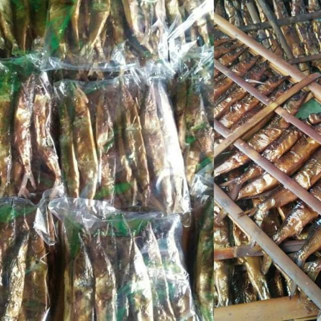 

Ikan roa utuh 1 gepe 20 ekor ikan jakarta