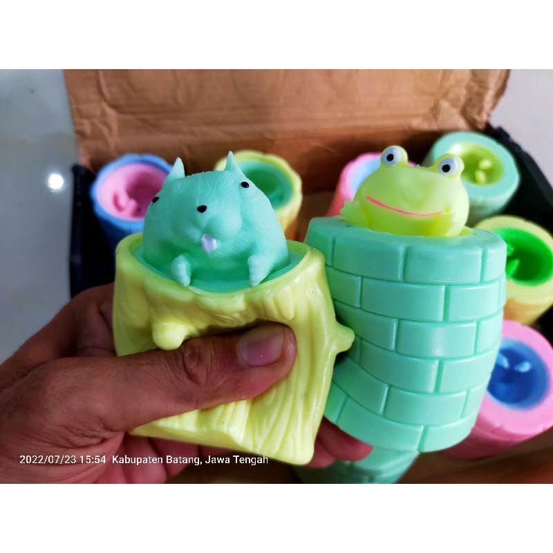 Squishy Magic Squirrel Cup