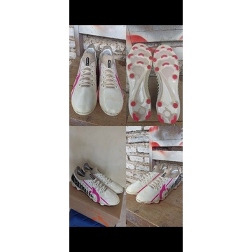 ortuseight catalyst liberte second