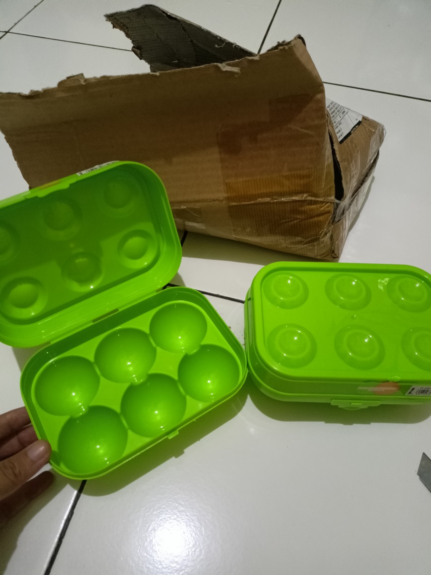 Tempat Telur Isi 6 Golden Sunkist