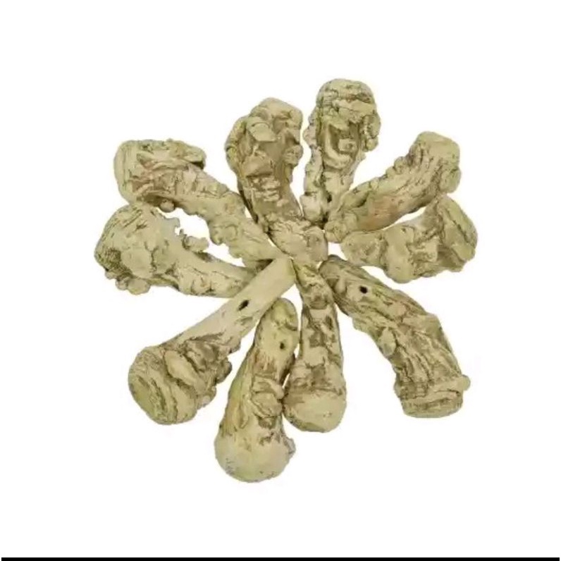 

300 G GR GRAM TANG KUEI TAU THAU DONG QUAI TOU TONG KUI DANG GUI TOU ANGELICA ROOT UTUH