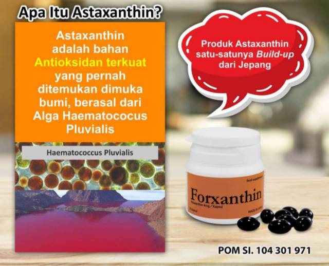 Forxanthin Astaxanthin Shopee Indonesia