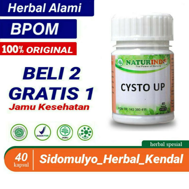 OBAT KISTA CYSTA MIOM HERBAL TANPA OPERASI