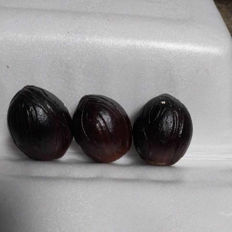 

BIJI PALA ASLI DARI KEBUN