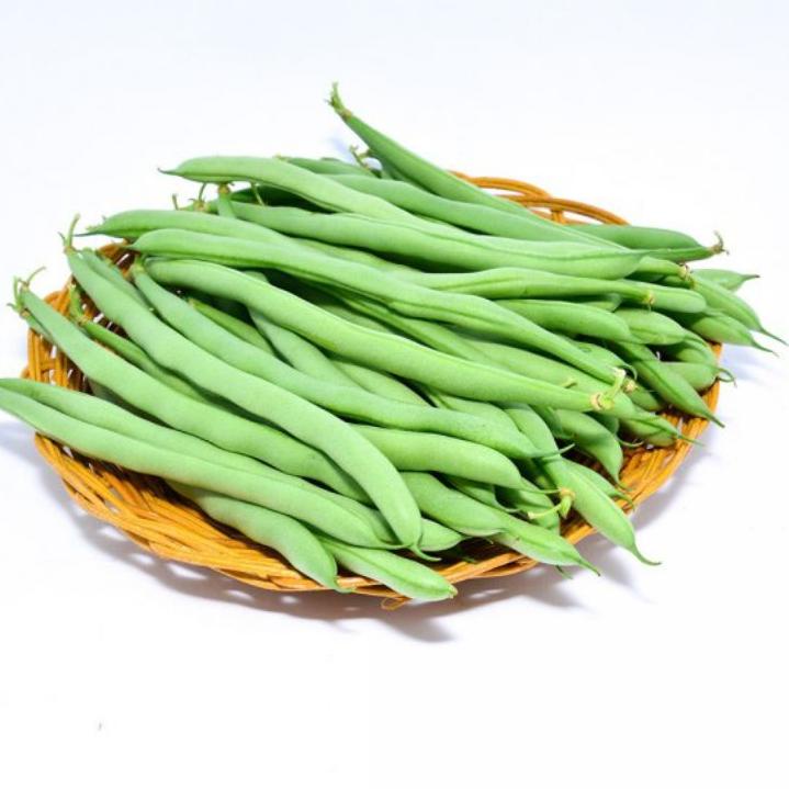 Harga TERMURAAH.. Benih Buncis LOGAWA isi 500gram