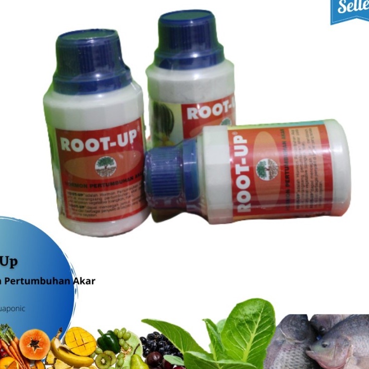 Hormon Pertumbuhan Akar Root Up