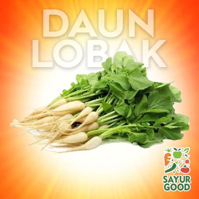 

Daun Lobak Segar / Ikat