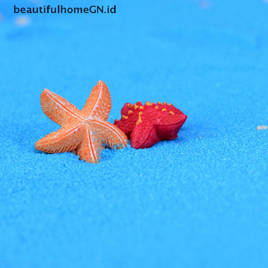 2 Pcs Miniatur Bintang Laut Bahan Resin Untuk Dekorasi Taman