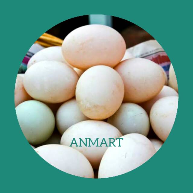 

ANMART | 4Butir Telur Bebek Putih/Hijau | Sayur Online