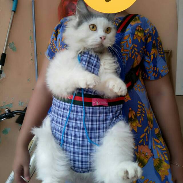 Gendongan kucing motif kotak-kotak biru untuk kucing dan anjing murah meriah terlaris 2018