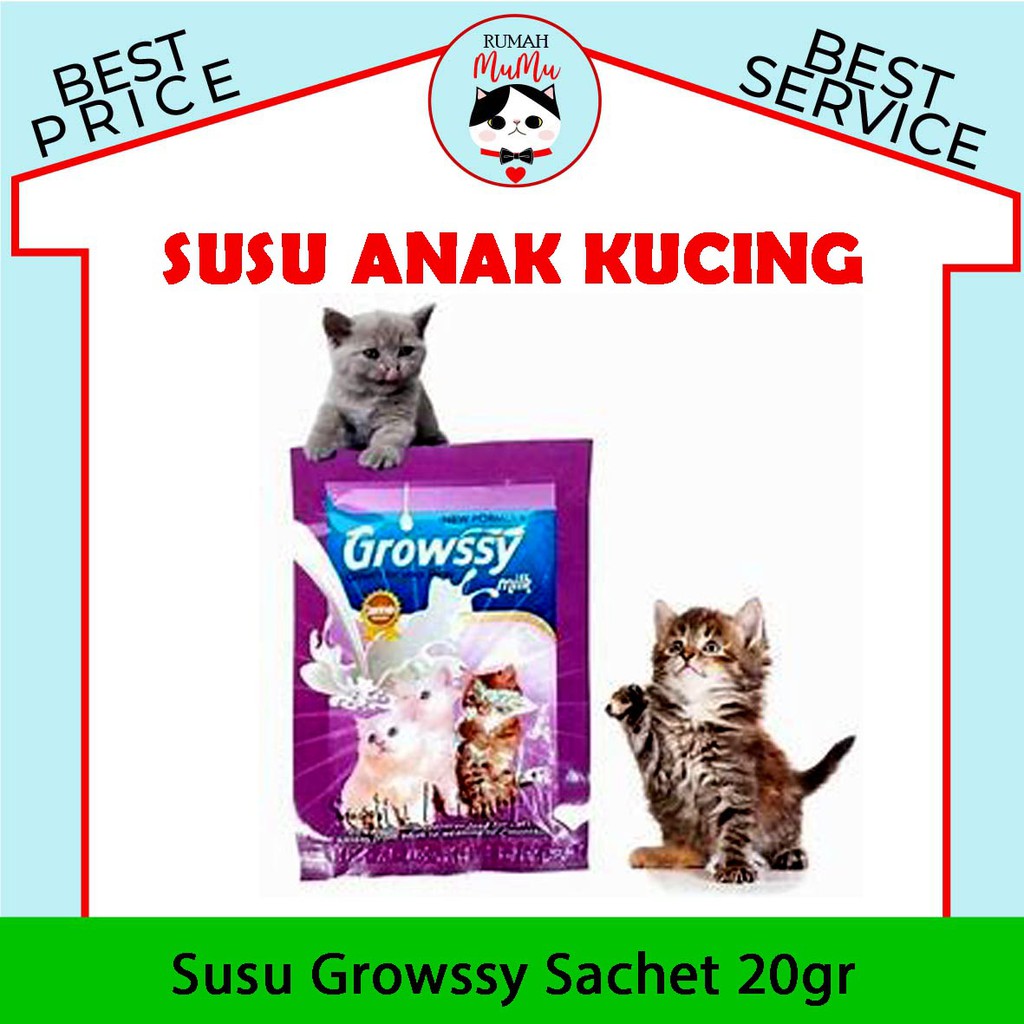 GROWSSY SUSU ANAK KUCING ECERAN AMAN 20gr