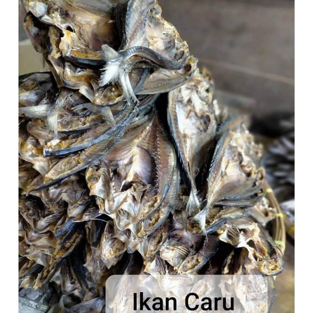 

Ikan Asin Caru