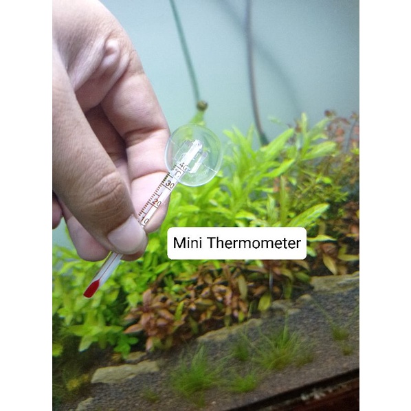 PENGUKUR SUHU AQUARIUM / THERMOMETER AQUASCAPE