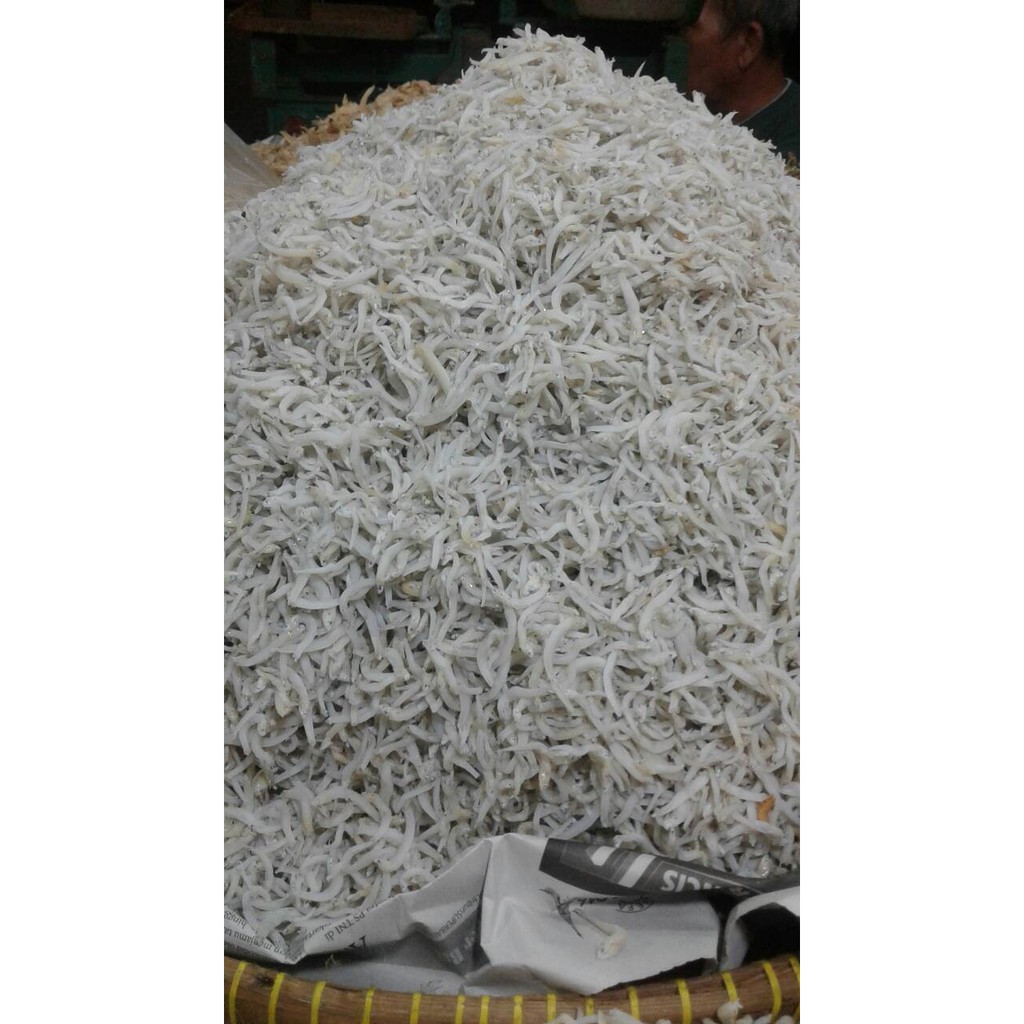 

SGS Ikan Teri Medan 500 gram