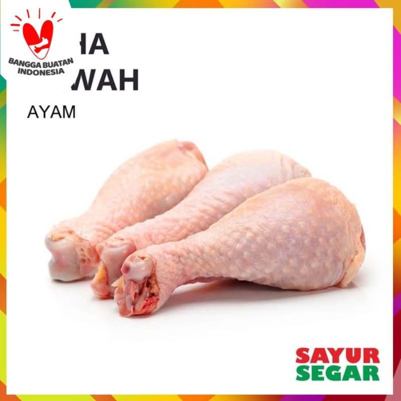 

paha bawah ayam fresh segar 500 gram drum stik kentungan