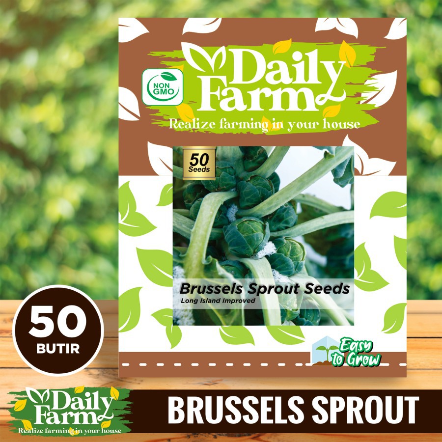 Jual Daily Farm Benih Brussels Sprout Benih Kubis Mini Brussel