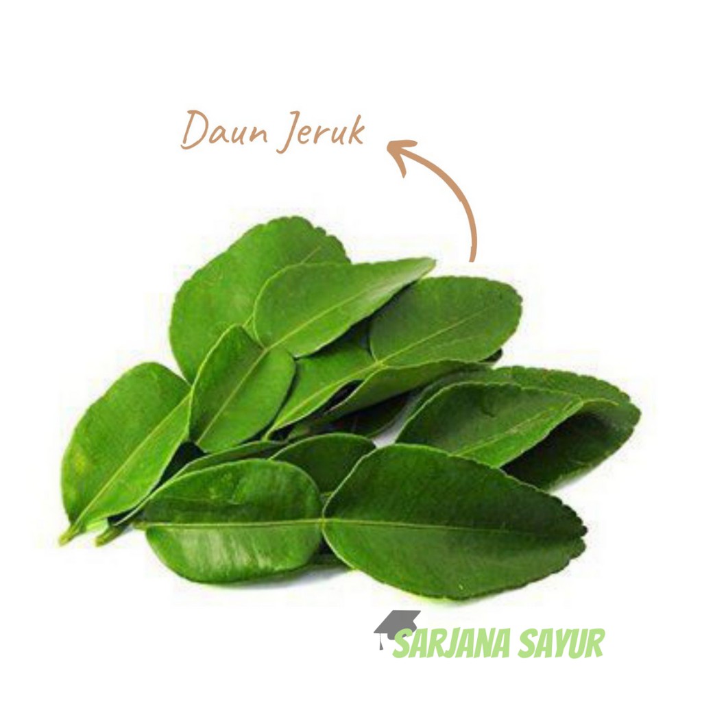 

Daun Jeruk per pack / Sarjana Sayur